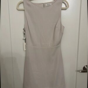 Aritzia Babaton Dress